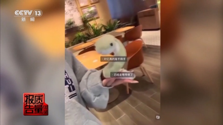 警惕！这些没有“出生证明”的玩具暗藏风险