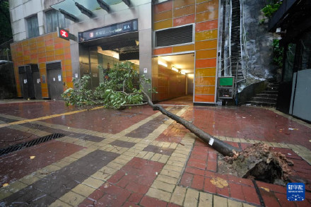 台风“韦帕”逼近 香港发出“十号风球”