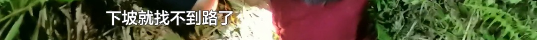 揪心！贵州一94岁老人捡菌迷路被困山林，幸好有他们...