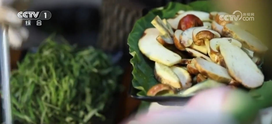 夏日健康指南 | 三伏天,如何科学养生? 夏日健康指南 | 三伏天,如何科学养生?