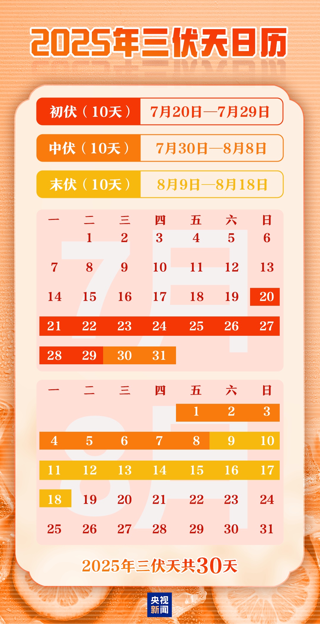 入伏！今天吃饺子了吗？三伏天需注意