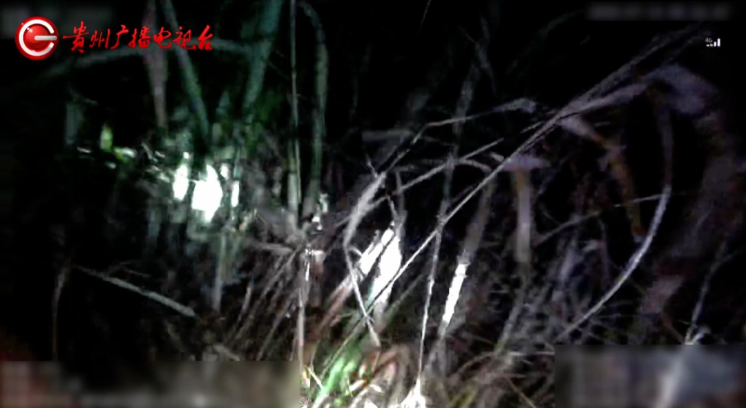 揪心！贵州一94岁老人捡菌迷路被困山林，幸好有他们...