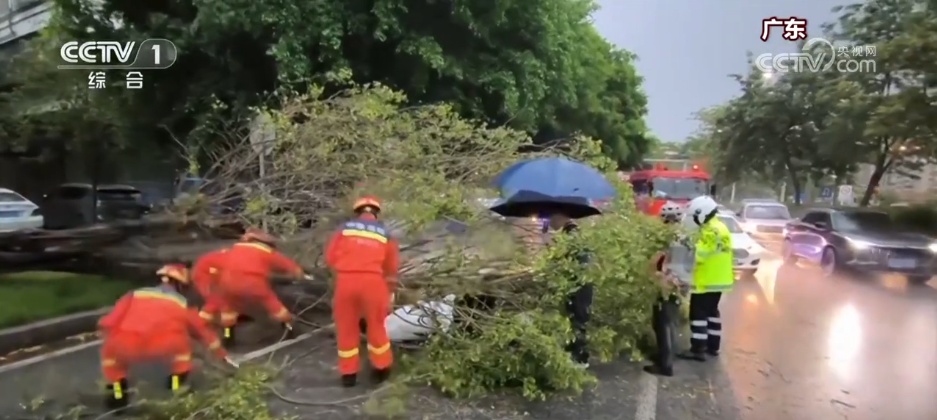 多地积极应对台风“韦帕” 全力保障人民群众生命财产安全