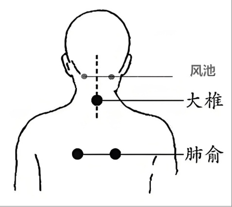 入伏了！中医专家教你“伏天”养生