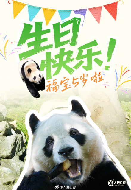 生日快乐！福宝今天5岁了