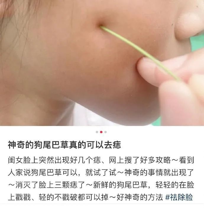 用狗尾巴草点痣？紧急提醒：有癌变风险！