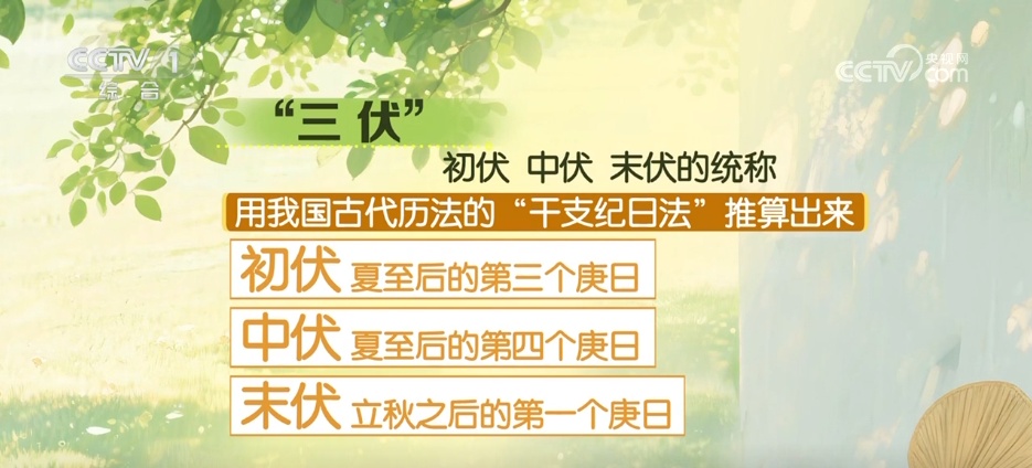 盛夏登场，“最短”三伏天来了！