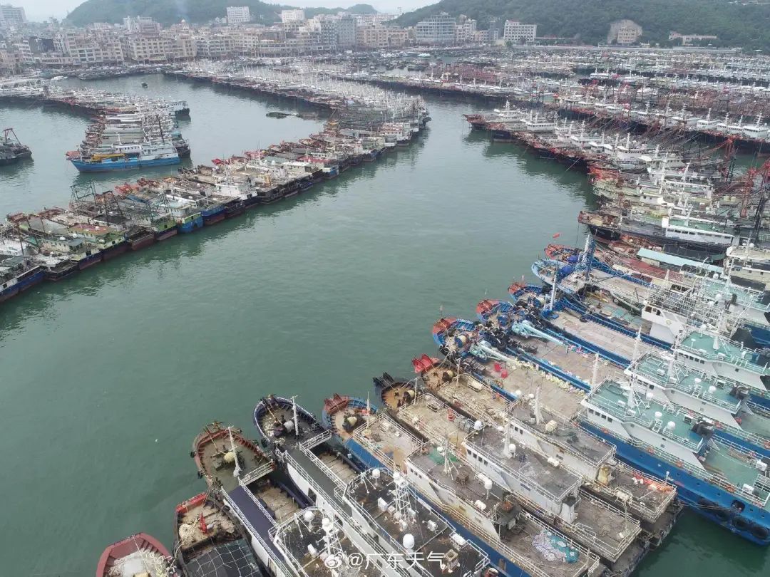 84个台风预警!“韦帕”或登陆珠海至湛江沿海,广东多地停运、停航、停课…… 84个台风预警!“韦帕”或登陆珠海至湛江沿海,广东多地停运、停航、停课……