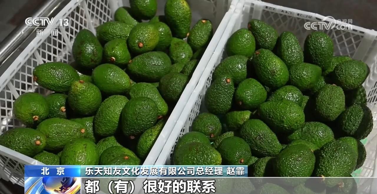 链博会观察|秘鲁牛油果如何高品质来到中国? 链博会观察|秘鲁牛油果如何高品质来到中国?