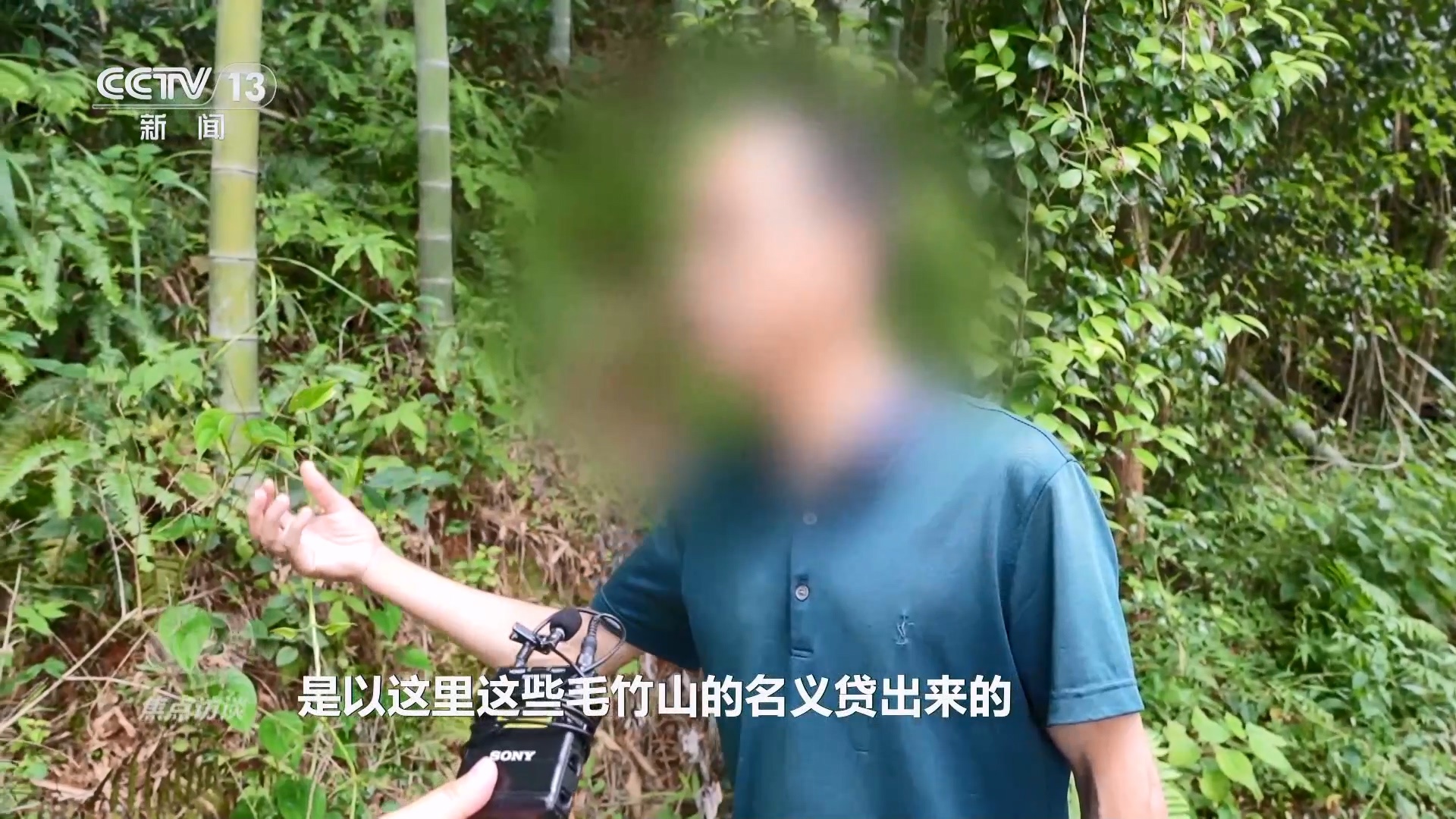 馅饼还是陷阱？揭秘“职业背债人”背后的真相