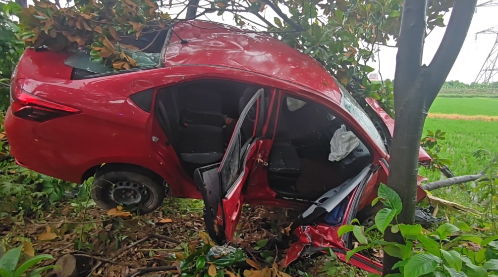 女子将车开上了树,竟是因为吵架! 女子将车开上了树,竟是因为吵架!