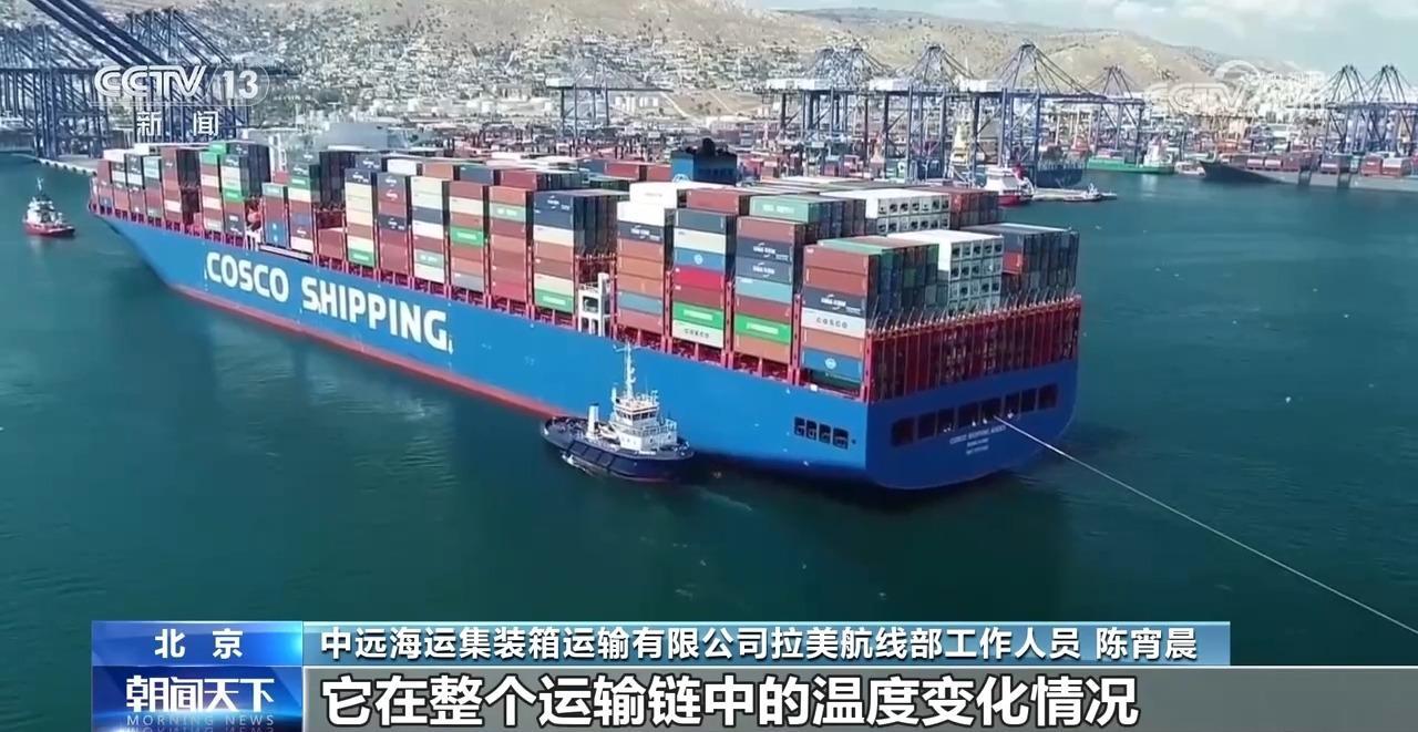 链博会观察|秘鲁牛油果如何高品质来到中国? 链博会观察|秘鲁牛油果如何高品质来到中国?