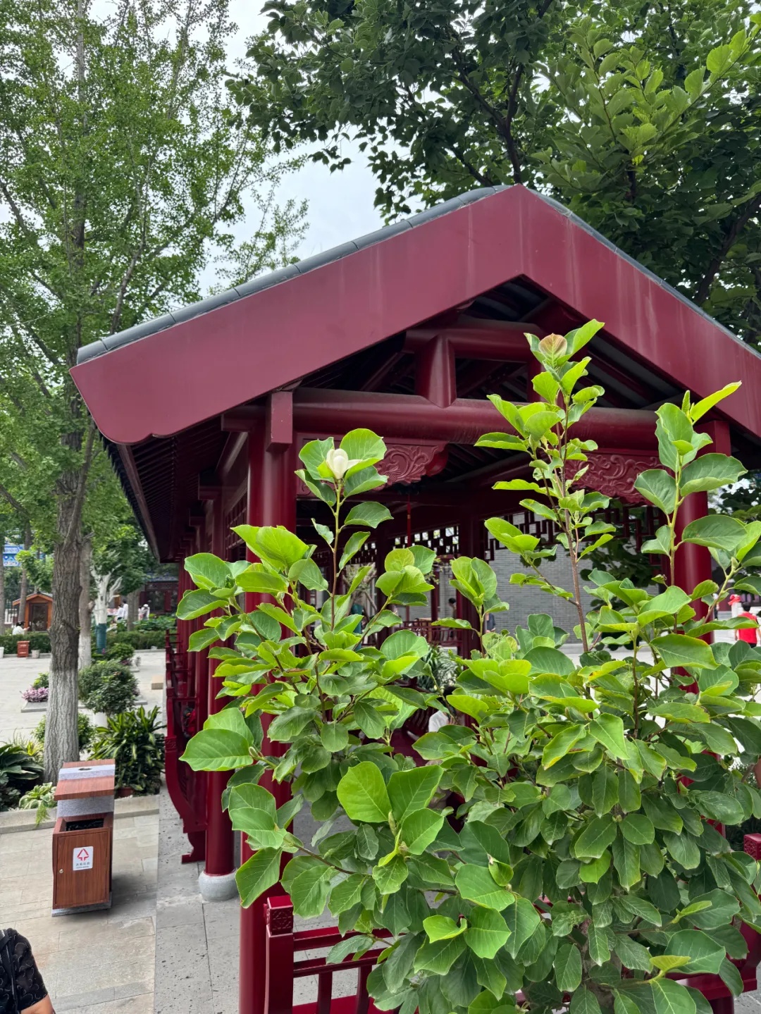 太惊喜!沈阳这个“顶流”竟然返场了!曾创下二十多万人打卡的纪录 太惊喜!沈阳这个“顶流”竟然返场了!曾创下二十多万人打卡的纪录