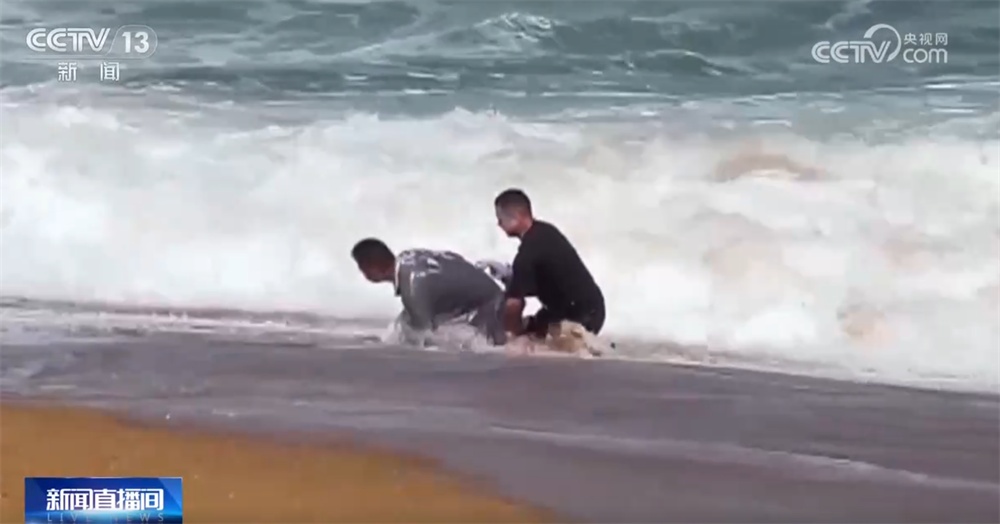 致敬！回顾见义勇为英雄模范英勇瞬间 他们用实际行动诠释“人间大爱”