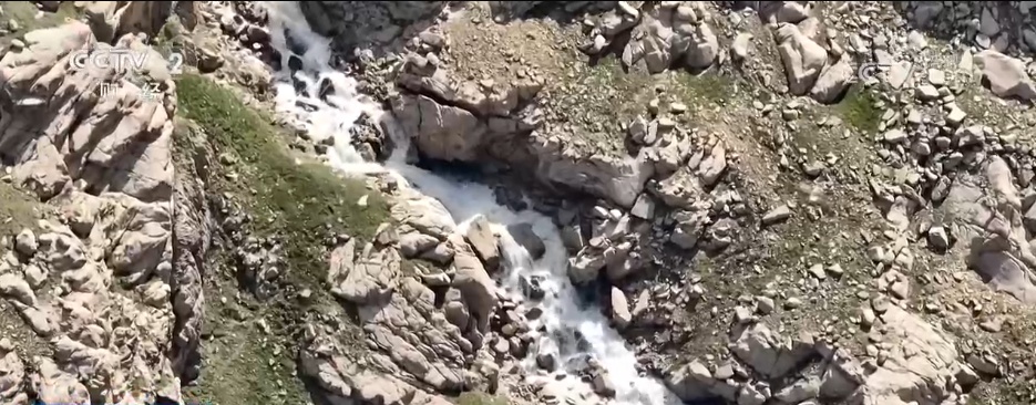 从“产业旺”到“乡村兴” 特色种植结出振兴“致富花”“增收果”