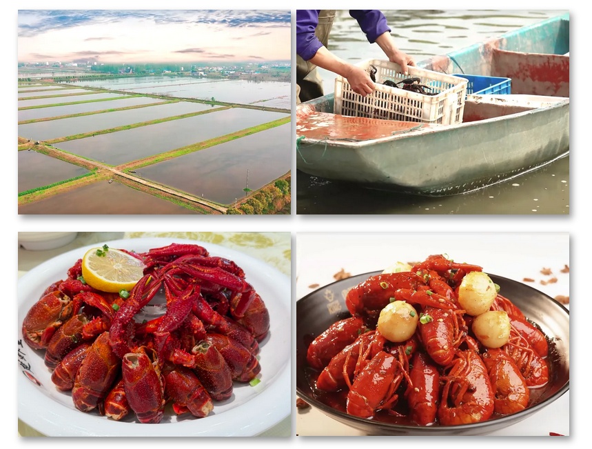 安检仪视角!爆火泡沫箱里装了啥? 安检仪视角!爆火泡沫箱里装了啥?