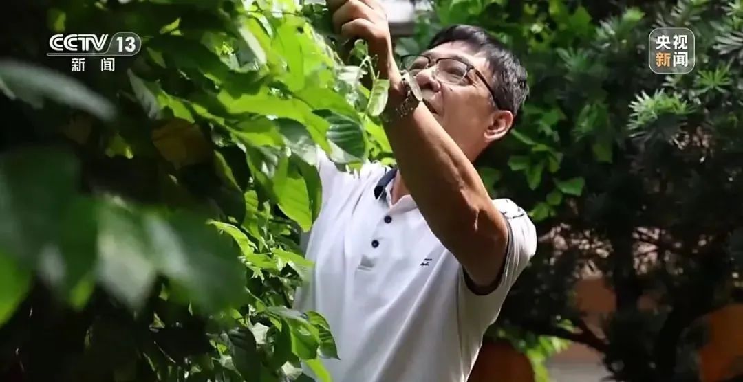 从“没人管”到给业主分红24万，广州一小区火了！网友：建议全国推广