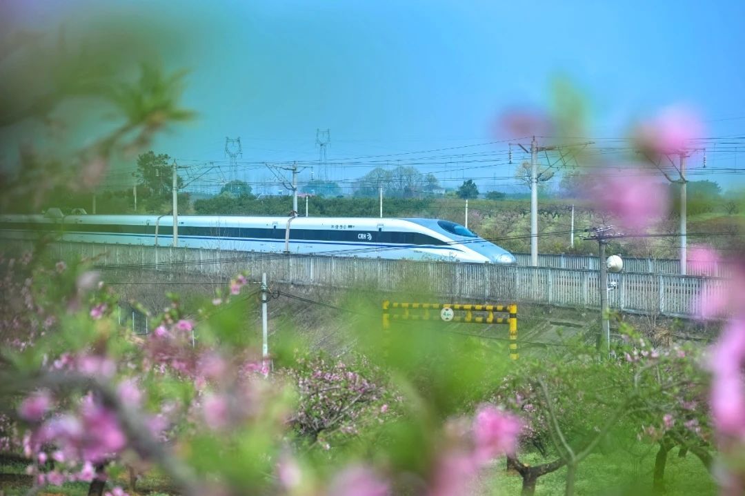 安检仪视角!爆火泡沫箱里装了啥? 安检仪视角!爆火泡沫箱里装了啥?