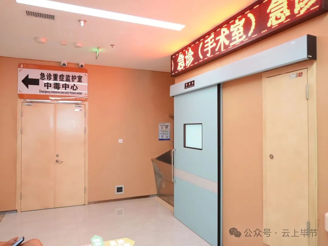 不要捡，不要吃！近期大量出现，可致人中毒