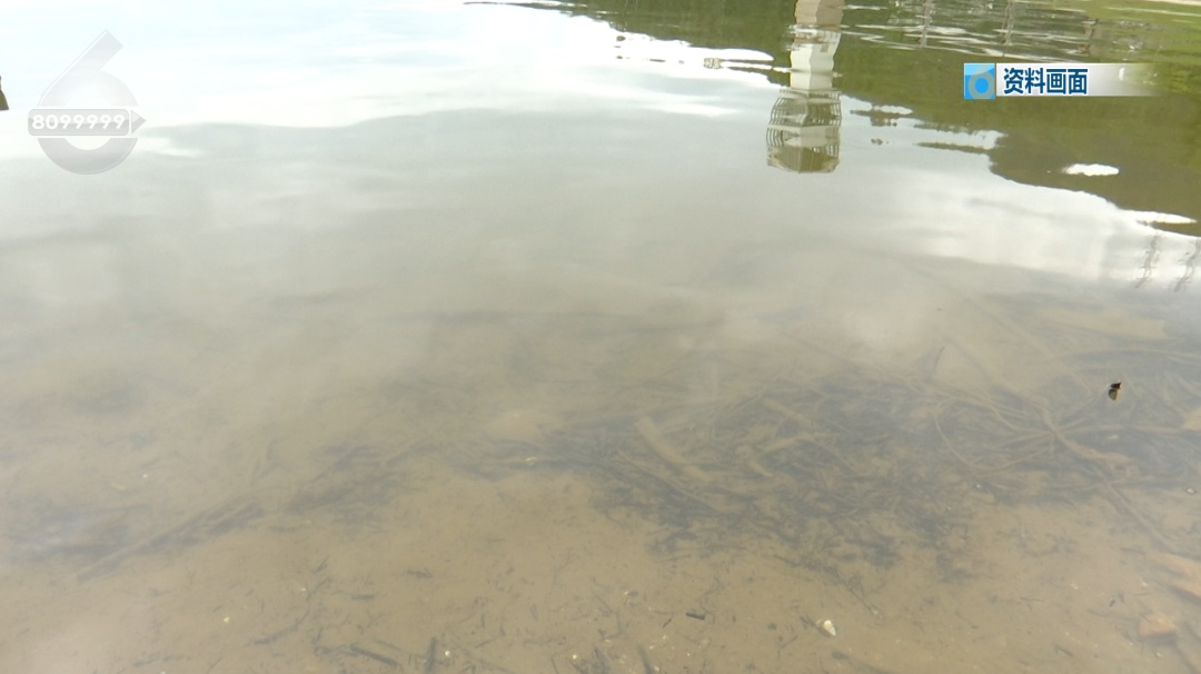 致死率高达98%!昆明医生提醒…… 致死率高达98%!昆明医生提醒……