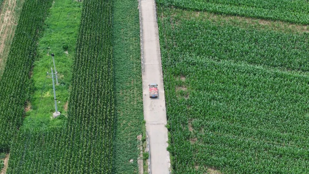 卖豆腐的27岁河南姑娘,李福贵凭什么走红 卖豆腐的27岁河南姑娘,李福贵凭什么走红