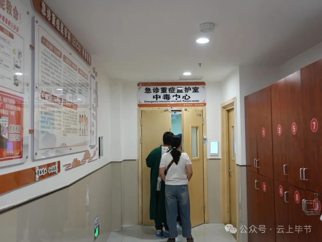 不要捡，不要吃！近期大量出现，可致人中毒