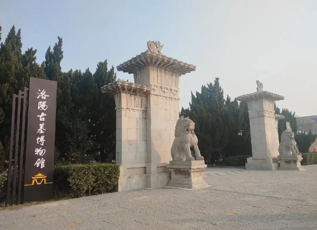 延长开放！河南多家博物馆“加时”