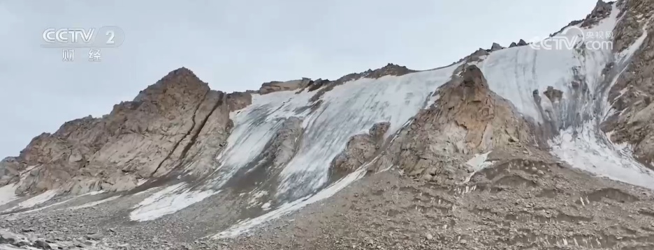 从“产业旺”到“乡村兴” 特色种植结出振兴“致富花”“增收果”