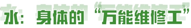喝水也是一门学问！