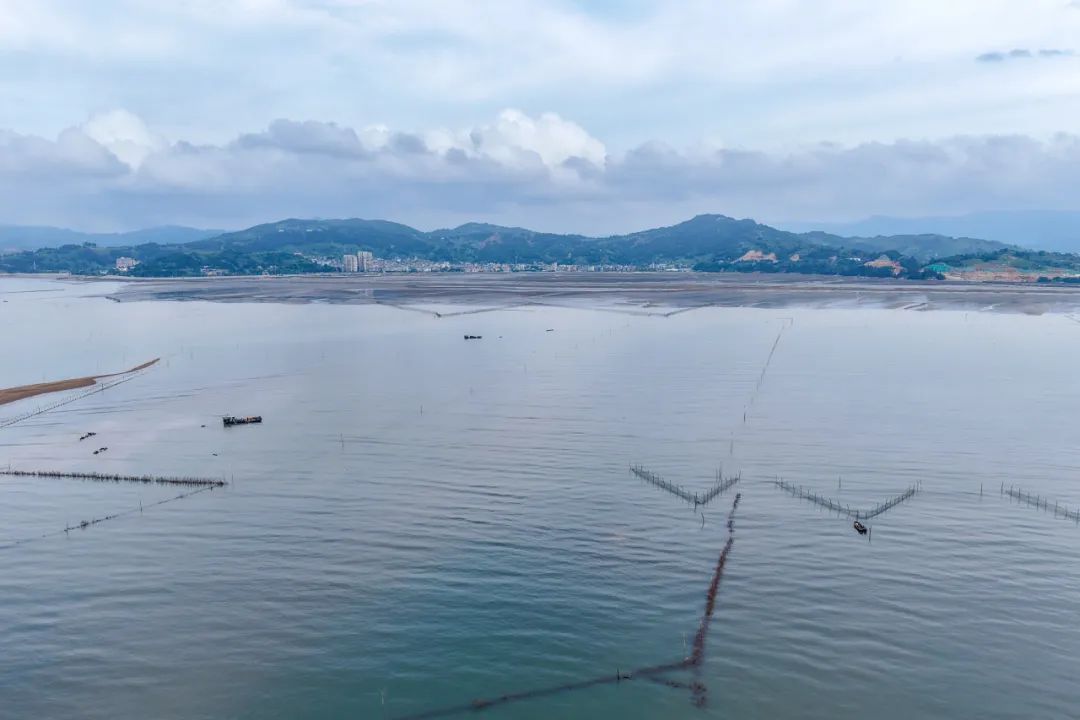 “天下第一鲜”来了！福州正大量上市