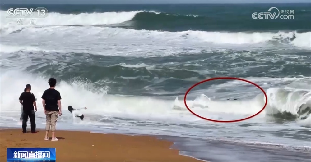 致敬！回顾见义勇为英雄模范英勇瞬间 他们用实际行动诠释“人间大爱”