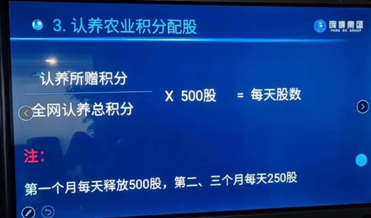 认养黑猪返利20%？“庞博集团”传销案始末：披着农业外衣的资金陷阱