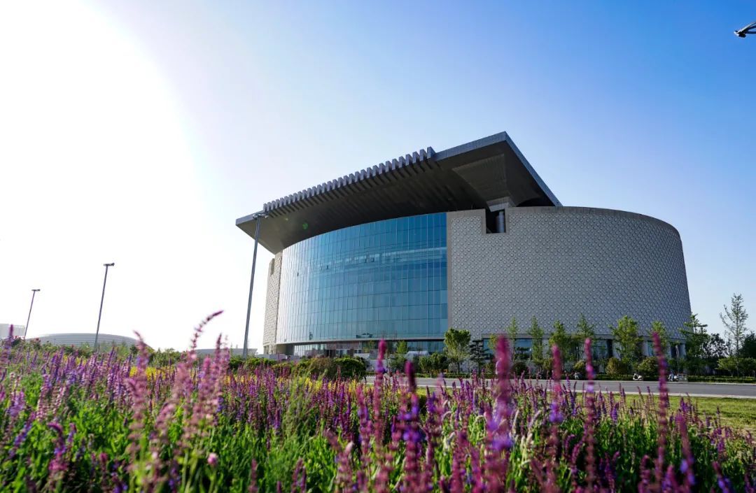 免预约！郑州6家博物馆延长开放时间→