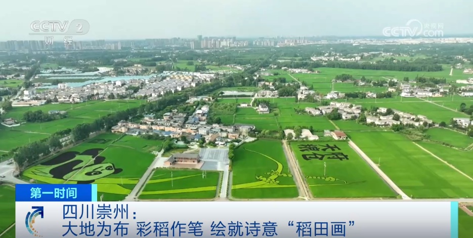 从“产业旺”到“乡村兴” 特色种植结出振兴“致富花”“增收果”