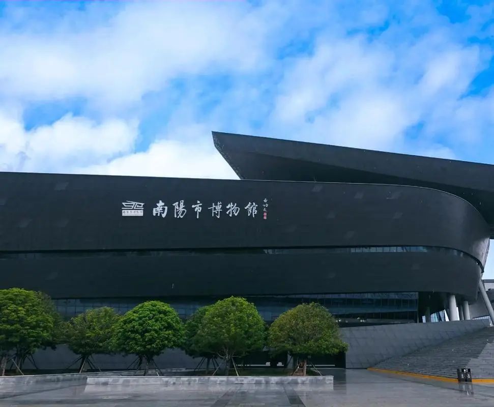 延长开放！河南多家博物馆“加时”