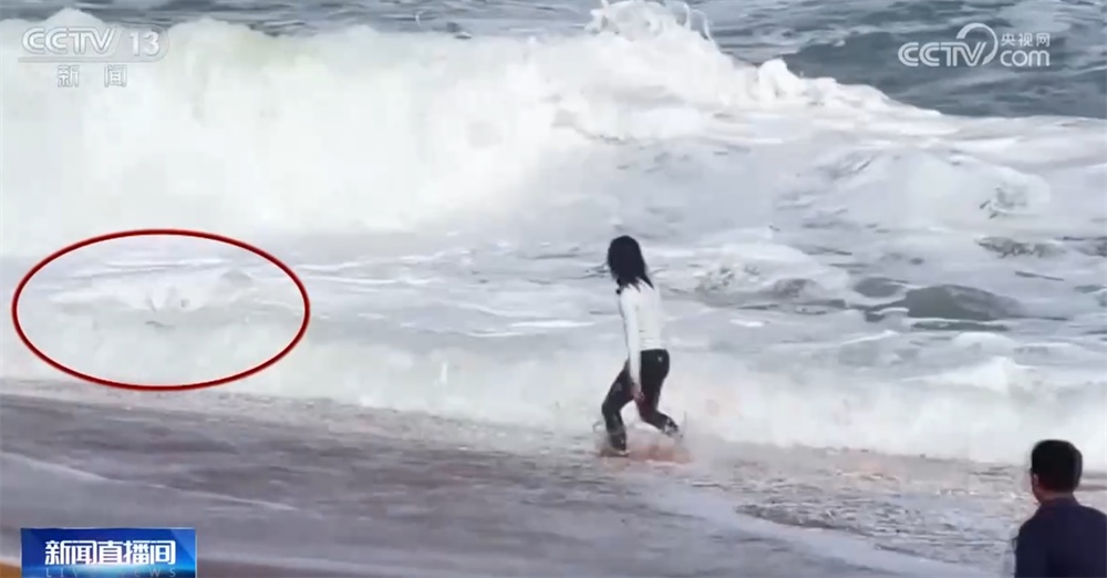 致敬！回顾见义勇为英雄模范英勇瞬间 他们用实际行动诠释“人间大爱”