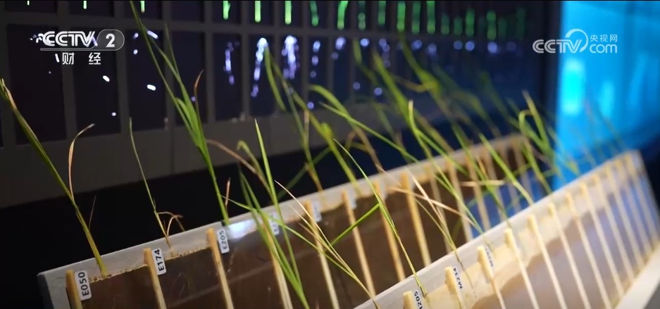 拯救夏日好奇心！这个暑假，与科技来一次亲密接触