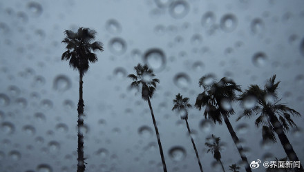 台风“韦帕”在广东再次登陆,致局地出现10级狂风 台风“韦帕”在广东再次登陆,致局地出现10级狂风