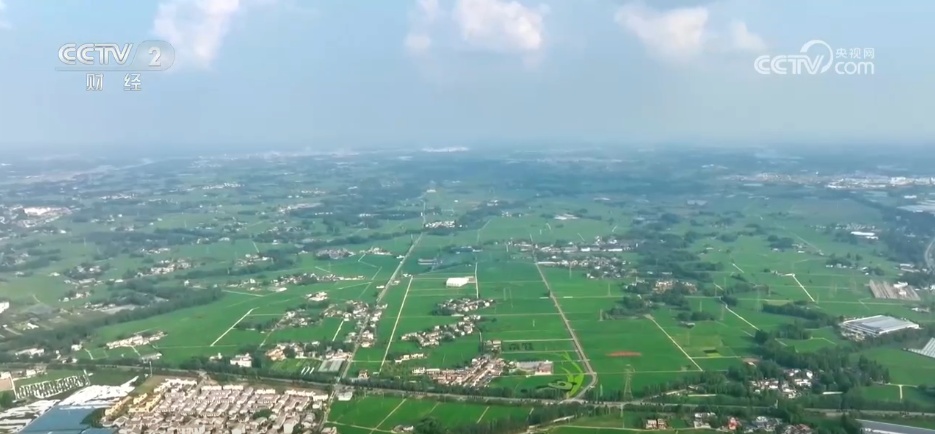 从“产业旺”到“乡村兴” 特色种植结出振兴“致富花”“增收果”