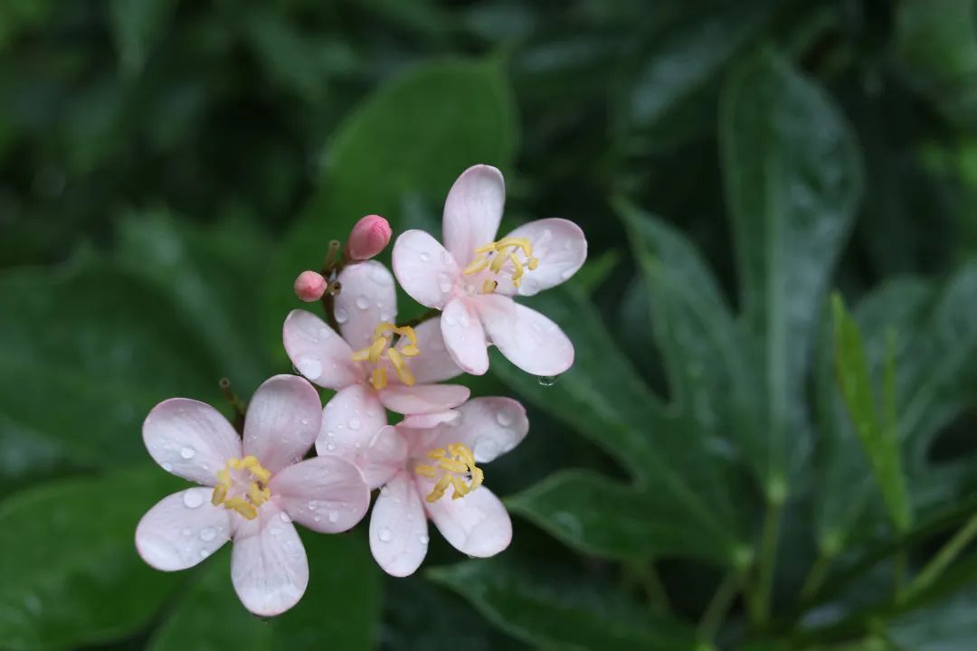雨没停!辽宁局地仍有暴雨、大暴雨 雨没停!辽宁局地仍有暴雨、大暴雨