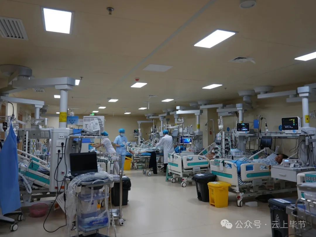 不要捡，不要吃！近期大量出现，可致人中毒