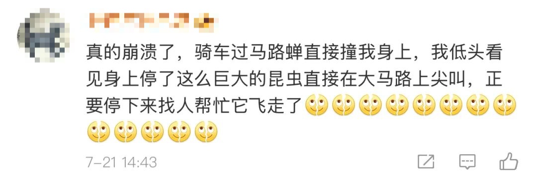 "被尿滋了一脸,还舔了舔"？上海人崩溃！最近多人中招,这4个字冲上热搜