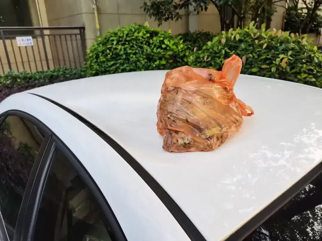 情绪不好懒得下楼，浙江女子随手一个动作，被刑拘！