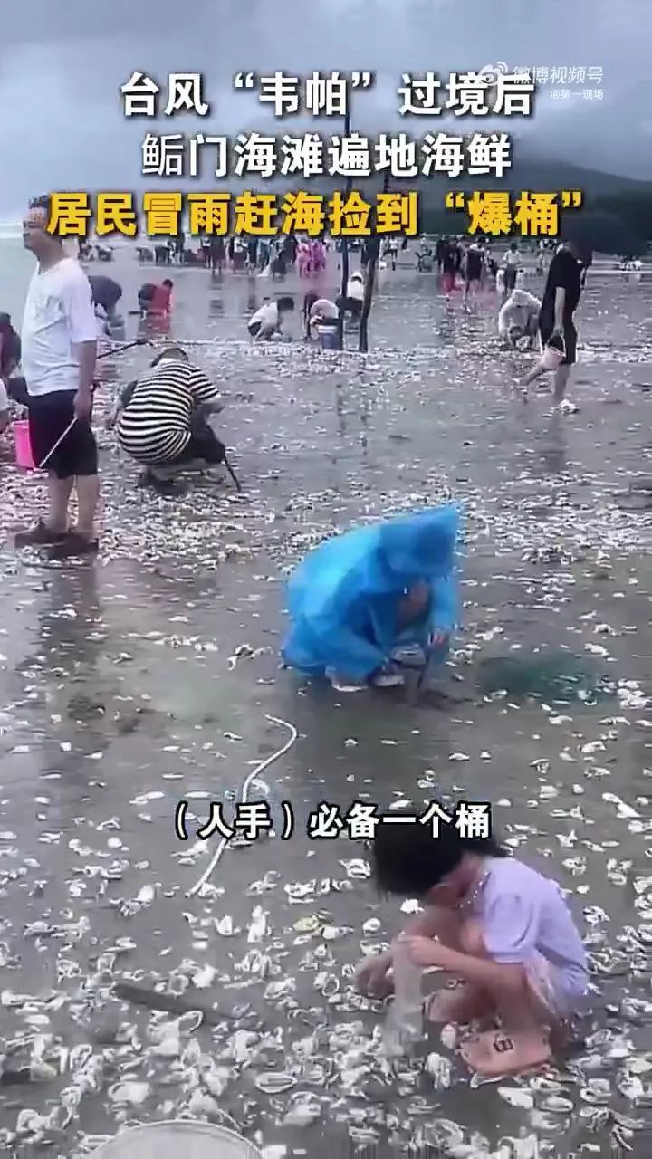 台风过后，“爆桶”式海鲜自由？专家紧急提醒！