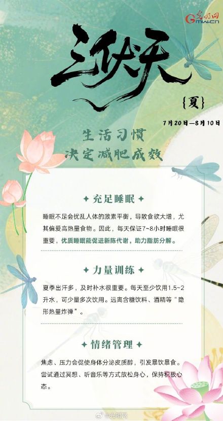 三伏天让减肥事半功倍？请接收这份减肥指南