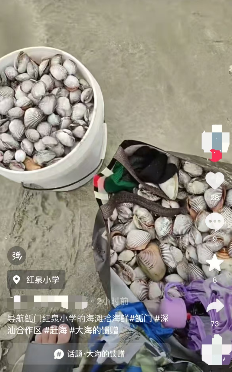 捡不完，根本捡不完！广东一地海滩再次惊现大量海鲜！提醒：尽量不要吃