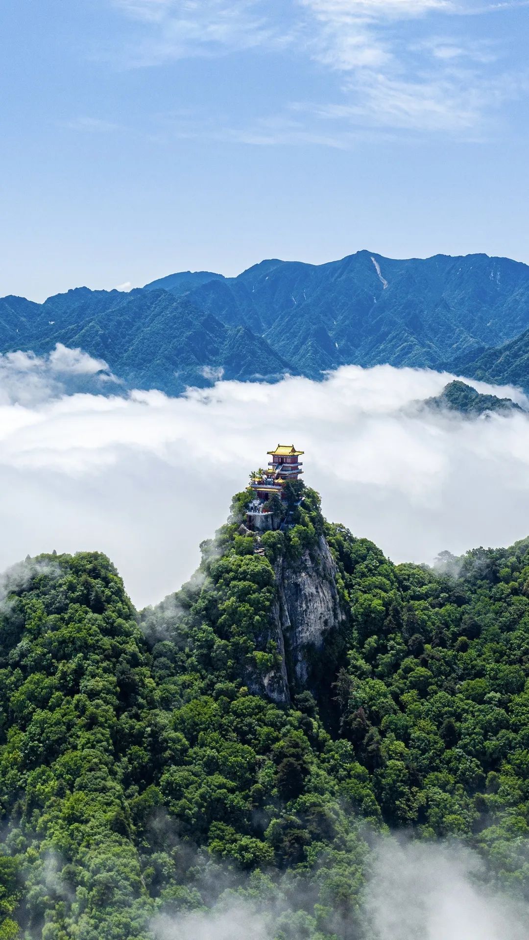 今日大暑！炎蒸至盛，盼“暑”尽甘来