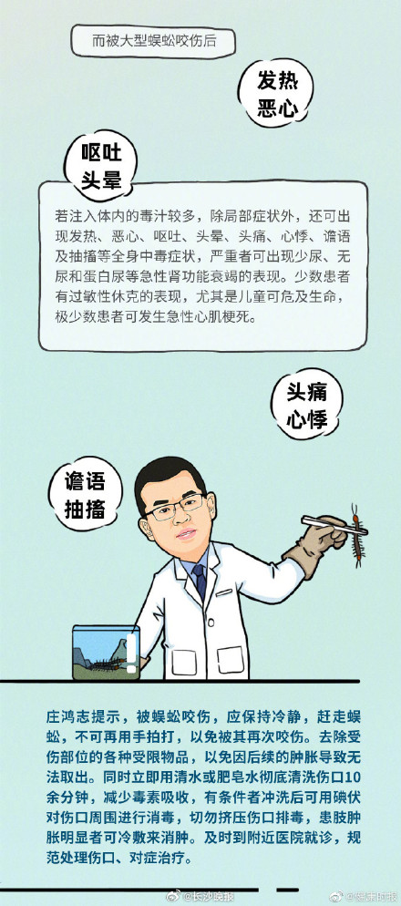 专业医师教你正确处理蚊虫叮咬