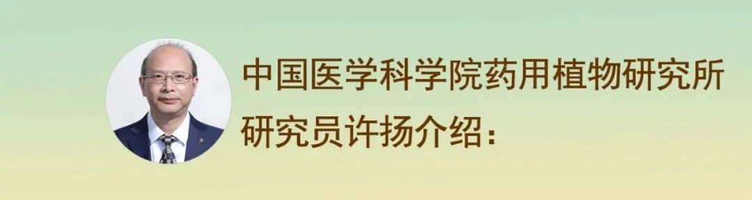 大暑｜二十四节气习俗趣事与养生