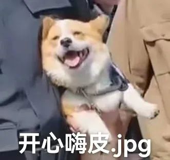 “大几发小狗？”“好像是大二下学期！”